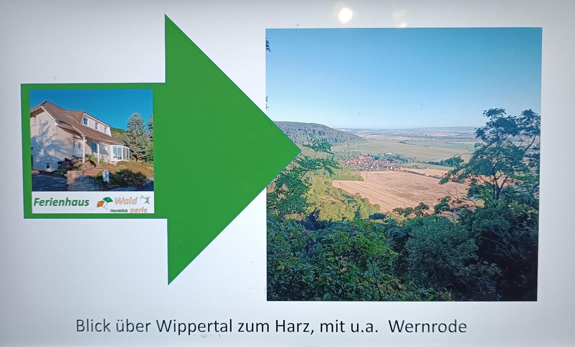 Wernrode Ferienhaus Waldperle Harzblick מראה חיצוני תמונה