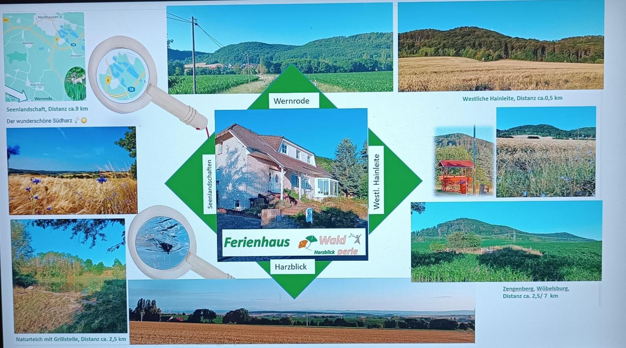 Wernrode Ferienhaus Waldperle Harzblick מראה חיצוני תמונה