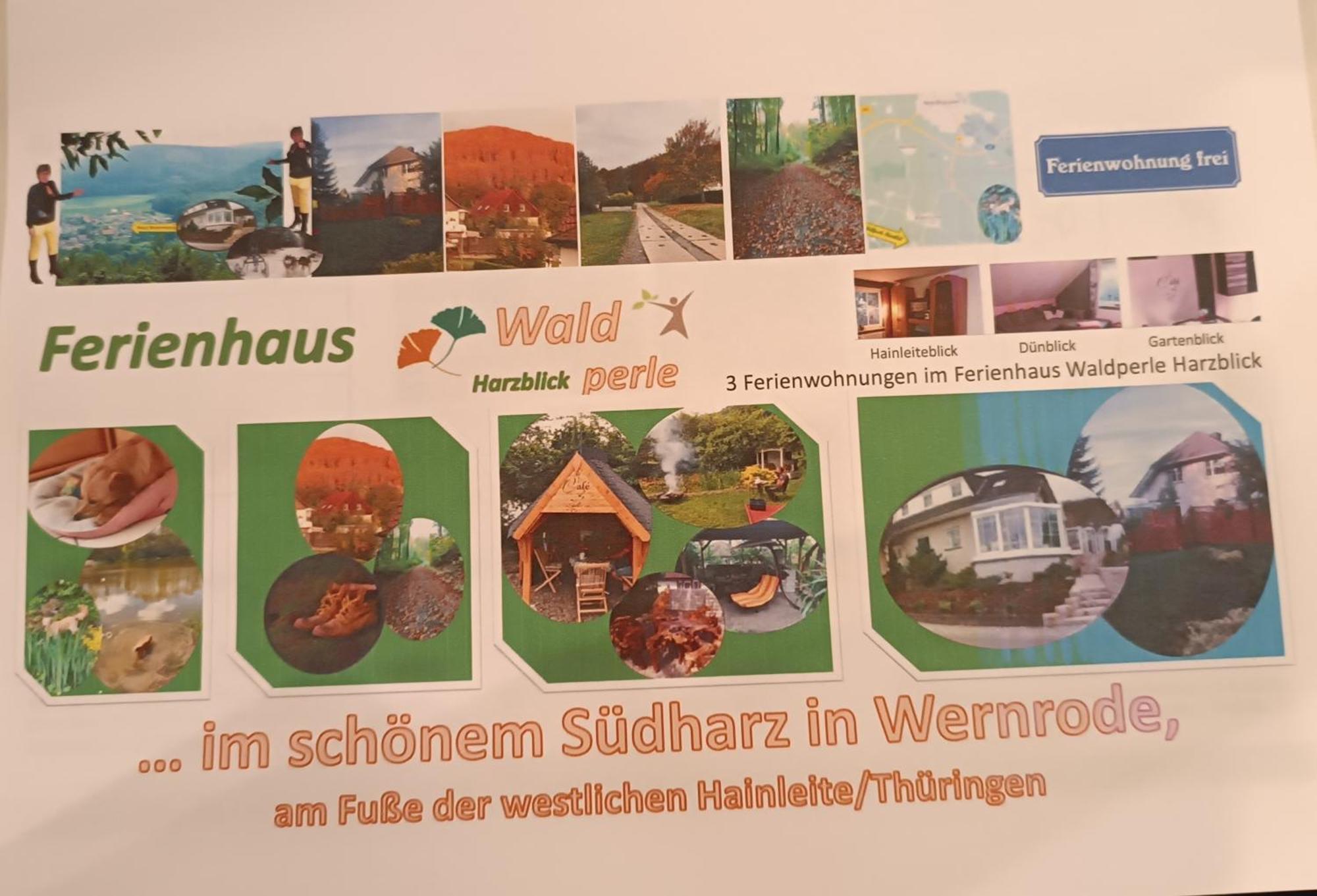 Wernrode Ferienhaus Waldperle Harzblick מראה חיצוני תמונה
