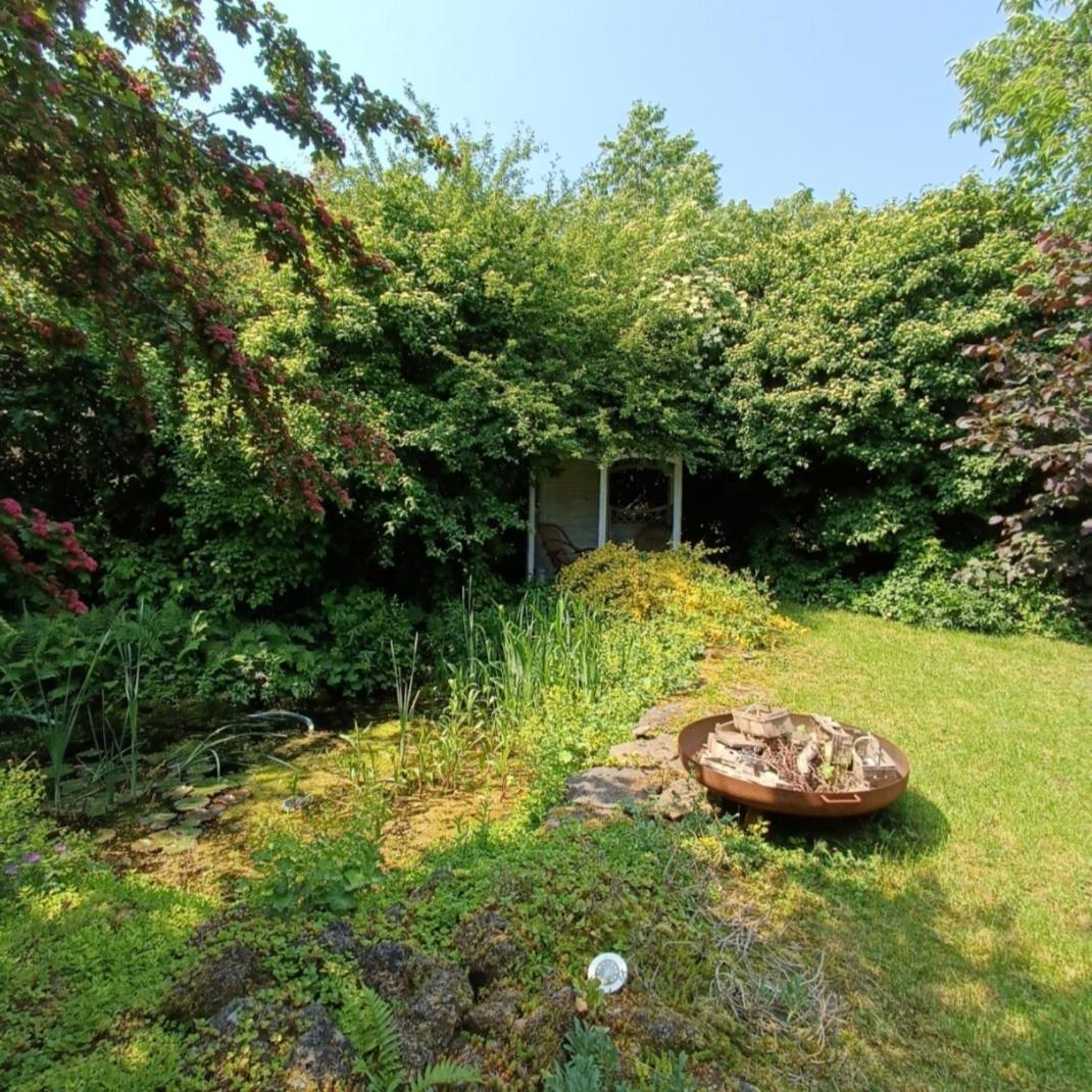 Wernrode Ferienhaus Waldperle Harzblick מראה חיצוני תמונה