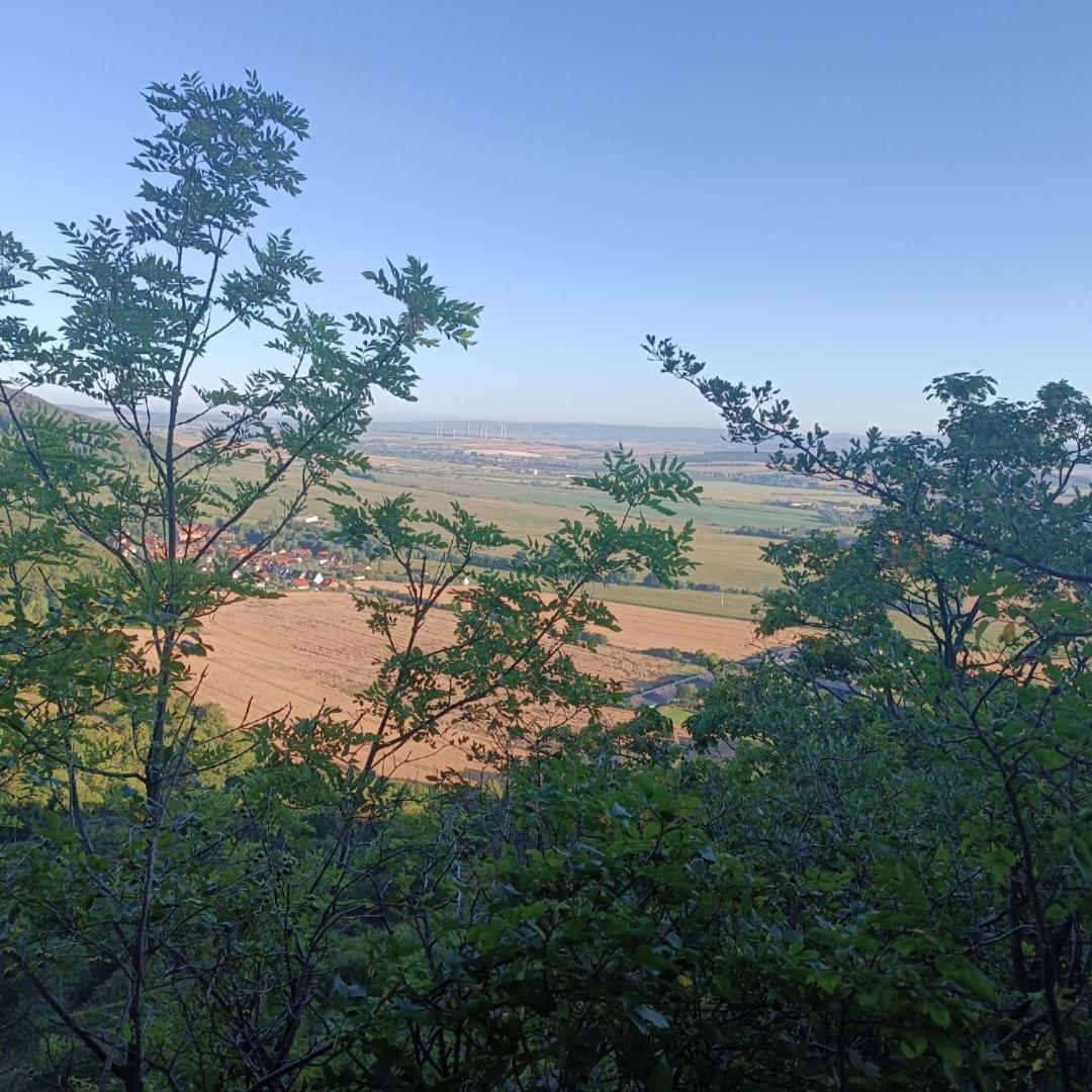 Wernrode Ferienhaus Waldperle Harzblick מראה חיצוני תמונה