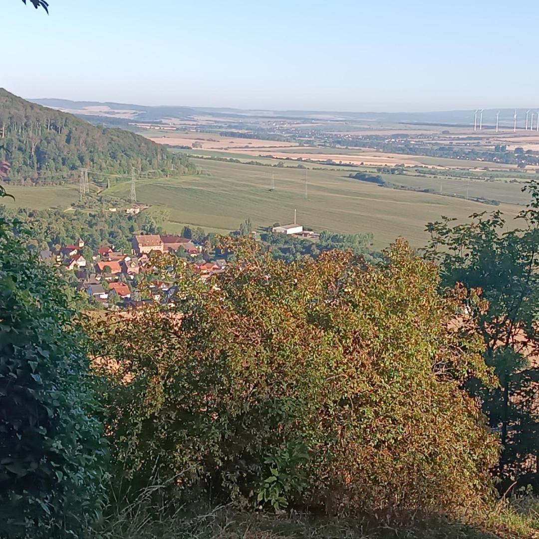 Wernrode Ferienhaus Waldperle Harzblick מראה חיצוני תמונה