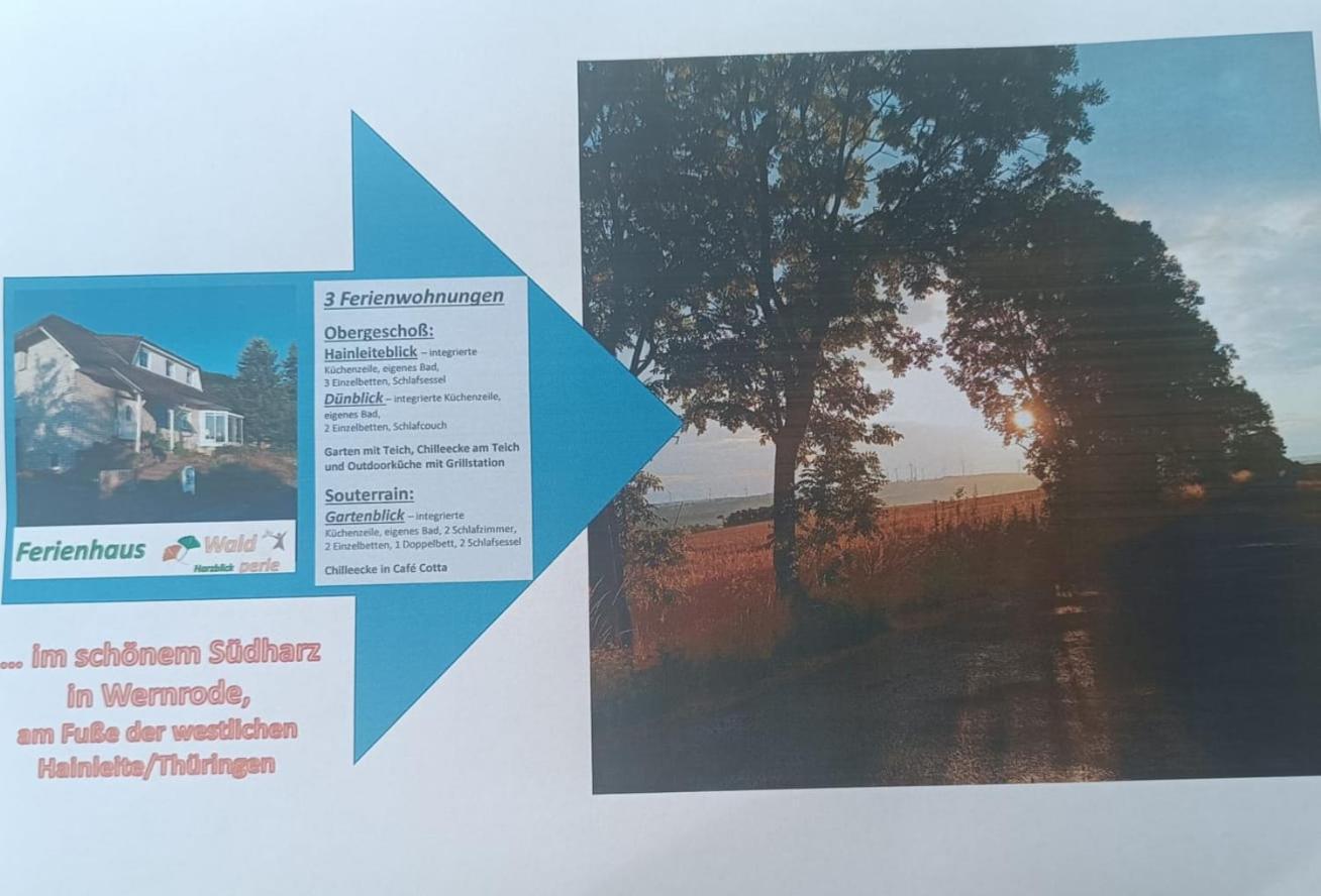 Wernrode Ferienhaus Waldperle Harzblick מראה חיצוני תמונה